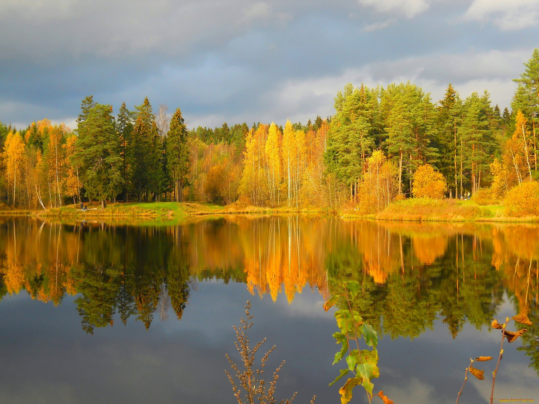 Описание фотографии природа. Токсово озера осень. Осень природа река озеро лес. Золотая осень озеро природа река лес. Золотая осень озеро.